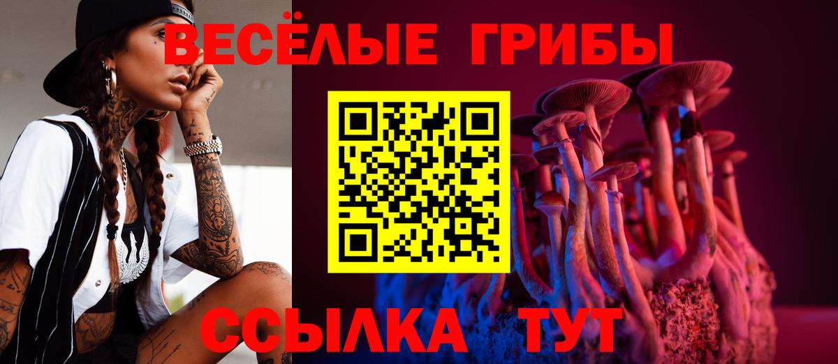 Арсеньев  Псилоцибиновые грибы MAGIC MUSHROOMS  Вход с VPN 